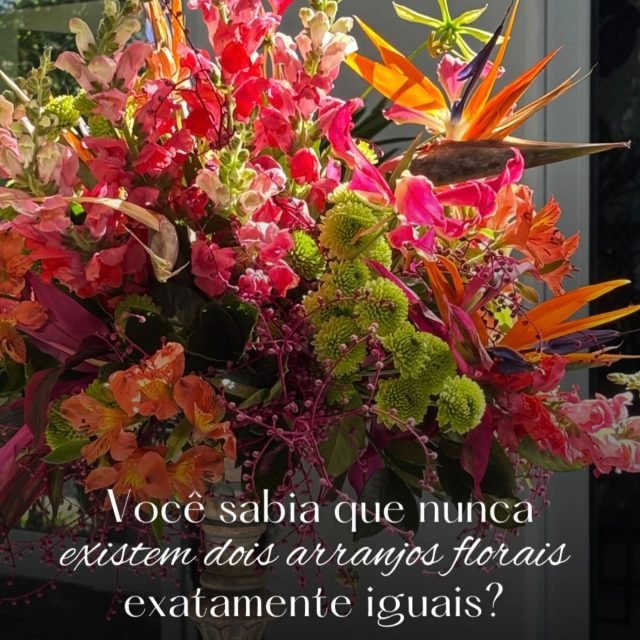 Cada flor tem seu próprio movimento, sua forma e seu tempo. 🌿✨

É justamente essa singularidade que torna cada composição especial. Por aqui, os arranjos não seguem fórmulas: são construídos respeitando a beleza natural de cada espécie, buscando equilíbrio, proporção e harmonia.

Porque, assim como não existem duas flores exatamente iguais, também não existem dois eventos iguais. 🤍

#ilmasocha #decoracaodeeventos #arranjosflorais #decoracaofloral #flores eventos decoracao joinville